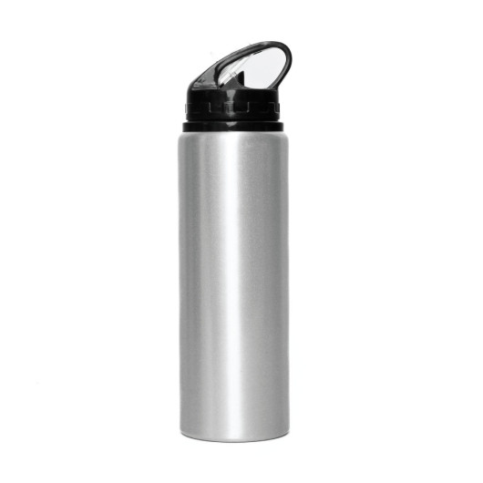 North Shore Straw Water Bottles SIlver